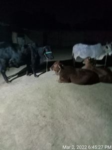 KASHI-SARVAJNAPEETAM-2022-03-03-1N9o1ClfApWTsK3gIJBxPVrO FeCTdqLP.jpg