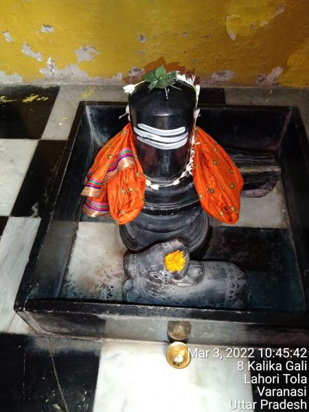 File:KASHI-SARVAJNAPEETAM-2022-03-03-1hgzPCL49WMV8k6W90ZJCBvPFi6 y2-QS.jpg