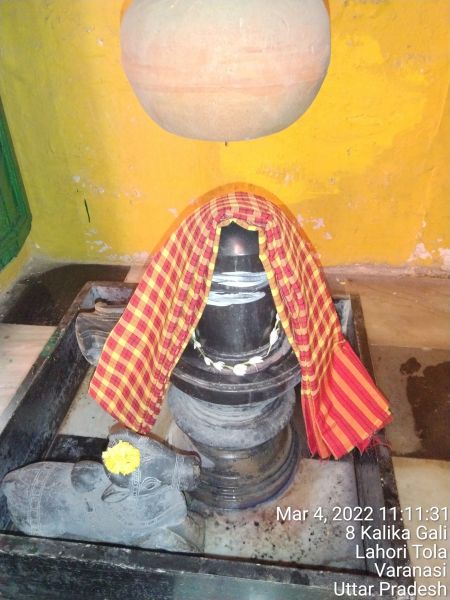File:KASHI-SARVAJNAPEETAM-2022-03-04-1Aoq4A4LZHOpqL4AZnDjV 4xZDky4yVZQ.jpg