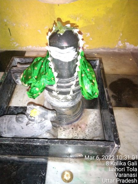 File:KASHI-SARVAJNAPEETAM-2022-03-06-1G8KqHRoBk1TLlWgX7ruhU2PBl09hp4Rp.jpg