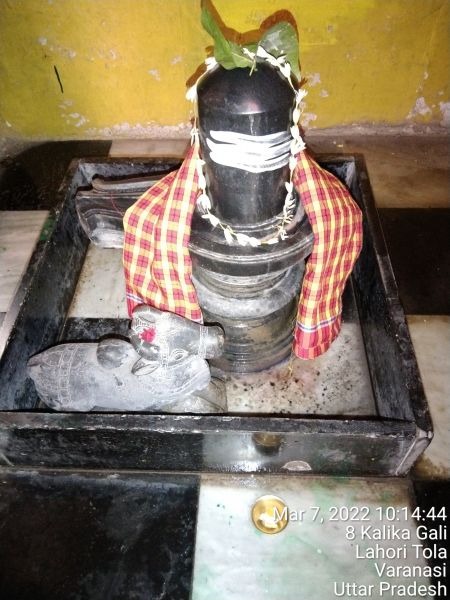 File:KASHI-SARVAJNAPEETAM-2022-03-07-1h-bjCsauO9-nZNx4HjXHrrj UJo0M3AZ.jpg