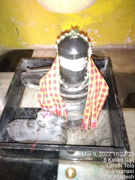 File:KASHI-SARVAJNAPEETAM-2022-03-09-1J6MzuyJJ3 g95cG5GBgUYdfOYNu7xV8g.jpg