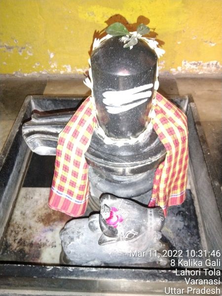 File:KASHI-SARVAJNAPEETAM-2022-03-11-18DvAUvs xyzWQRzYLUeVnkmGuB2D7XMO.jpg