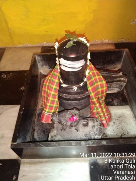 File:KASHI-SARVAJNAPEETAM-2022-03-11-1NRyjN8IRHsVqyYWYWZA1rLF 81cnXuKb.jpg