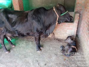 KASHI-SARVAJNAPEETAM-2022-03-11-1ou2pvkElh0b8rzviyOHG7t4Nc7QFkT A.jpg