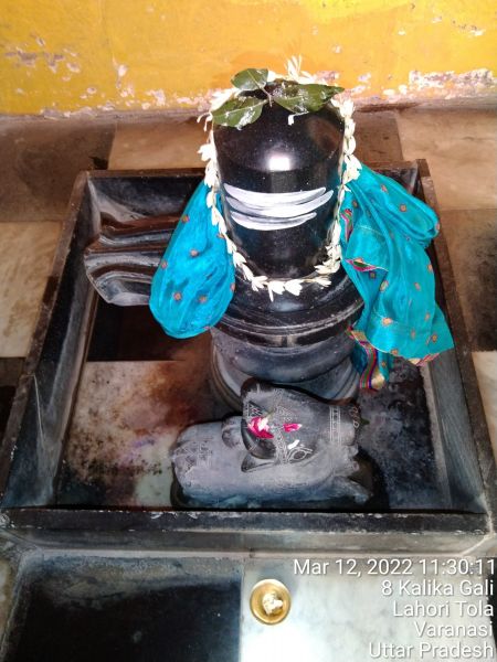 File:KASHI-SARVAJNAPEETAM-2022-03-12-1UWXF0gtN0MFwqQzWa cjT0CczUUn99e3.jpg