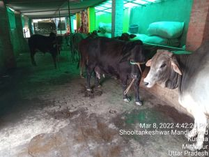 KASHI-SARVAJNAPEETAM-2022-03-12-1ypGyBQGqPPZWDU38byGwqW9q itlFxrf.jpg