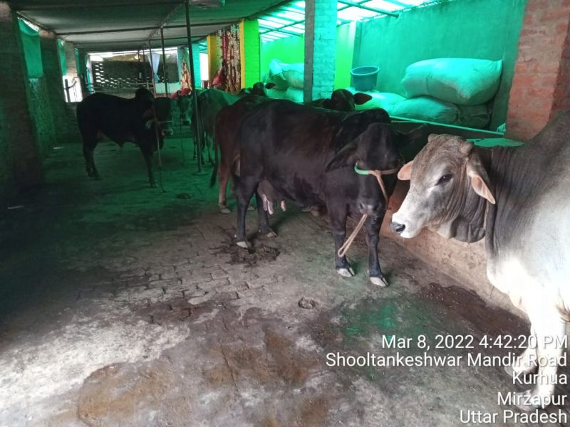 File:KASHI-SARVAJNAPEETAM-2022-03-12-1ypGyBQGqPPZWDU38byGwqW9q itlFxrf.jpg