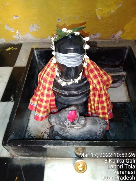 File:KASHI-SARVAJNAPEETAM-2022-03-17-1M XI8SP81Z-E2537wmilaBaK8rS8awqA.jpg