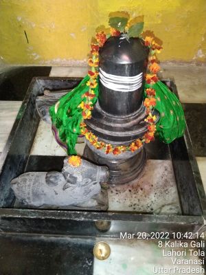 KASHI-SARVAJNAPEETAM-2022-03-19-16dWC9u5ahe XRw9jDqyrKOGk8IT n7rg.jpg