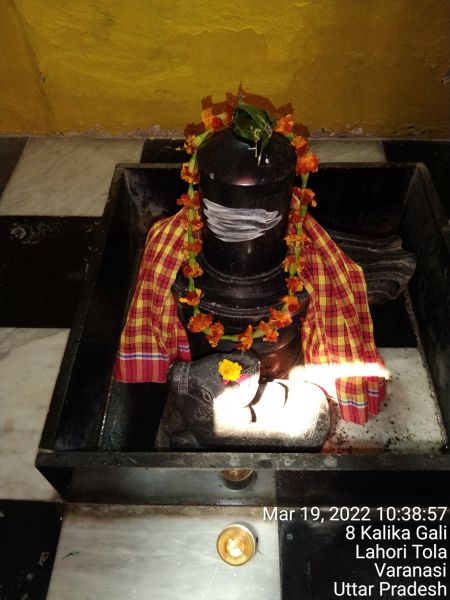 File:KASHI-SARVAJNAPEETAM-2022-03-19-1EK TnPQCnBfJyZXSGgfDZUdWnnSilZQ0.jpg