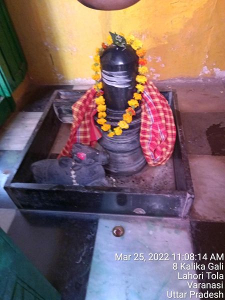 File:KASHI-SARVAJNAPEETAM-2022-03-25-1 Eo7Gu0tzDVlL9ScW-046jsjGl4kwmoN.jpg