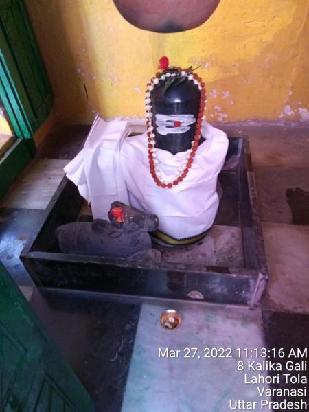 File:KASHI-SARVAJNAPEETAM-2022-03-27-1QQRoYWwm9Z hSystRj8IjY0K8Y8dTptu.jpg