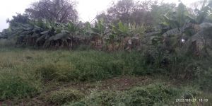 KASHI-SARVAJNAPEETAM-2022-03-28-1YNk-hcCZ7MZZ8nCojAH-fQuTyS A3IfM.jpg