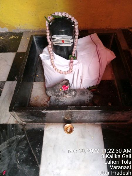 File:KASHI-SARVAJNAPEETAM-2022-03-30-1Y4T4Le 4Xvy6eYRk67DmZV7vPjaXwME-.jpg