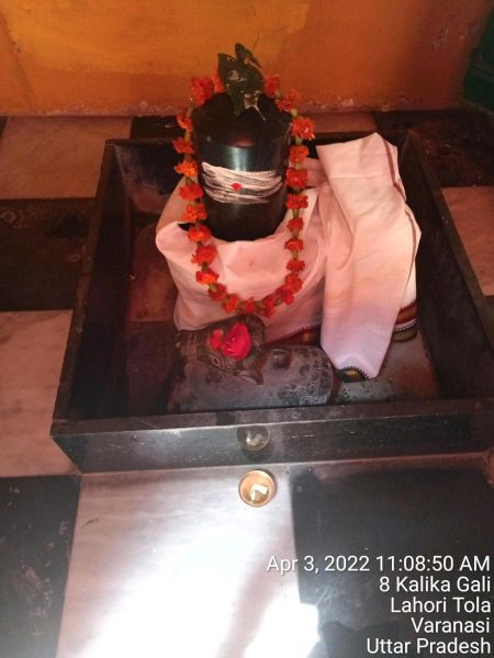 File:KASHI-SARVAJNAPEETAM-2022-04-03-1oHUSgH 1 nTec977ccU-t2VcrKXFjXcF.jpg