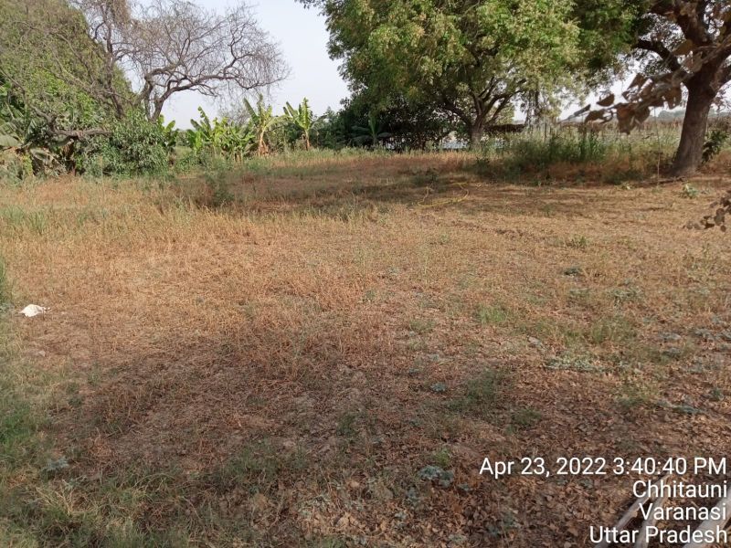 File:KASHI-SARVAJNAPEETAM-2022-04-24-1an65StPMvIOyH4J rGt4gSjYEQ2gnubS.jpg