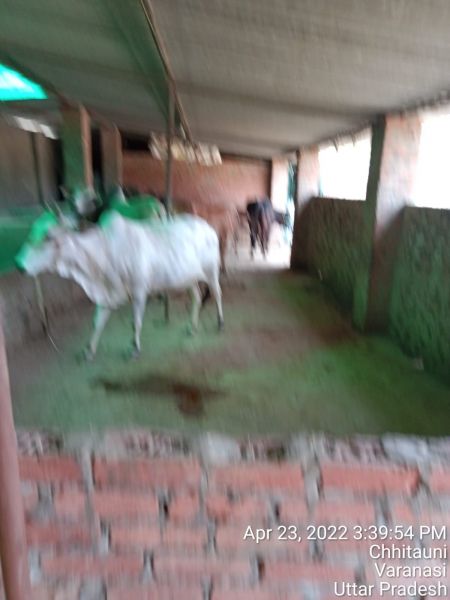 File:KASHI-SARVAJNAPEETAM-2022-04-24-1bg10IVWzyWvi dFI1 cCrN-y5P 71oZd.jpg