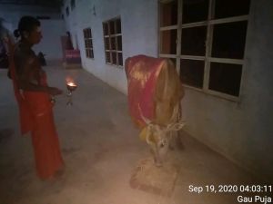 KPedia Photo 1091 1GG4zNJ0cDmbOVHMD1vtS3bZhvu67UMf .jpg