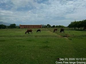 KPedia Photo 1092 1CzC1gBI4XkV-EpGuP0OQaKKdwZn0Si-k.jpg