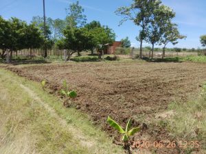 KPedia Photo 1173 13aRpsw5u7evzAVVv1PjniHPiz-0S2FpS.jpg