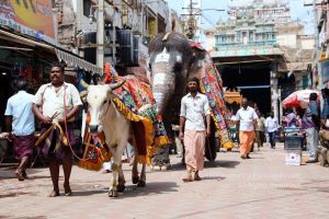 KPedia Photo 1220 16PVQHGIq0ckjtzrZ3gsQLK2nE0L nquv.jpg