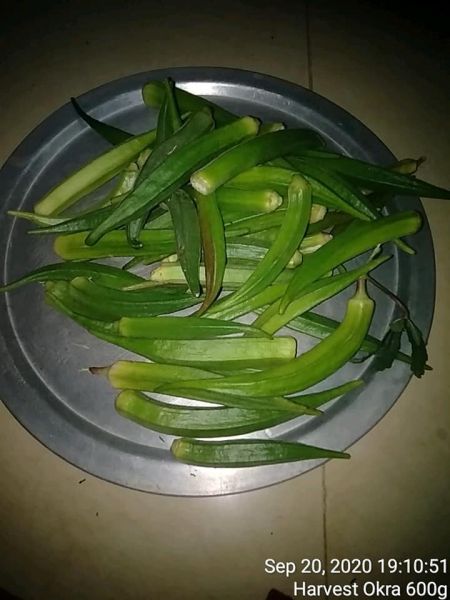 File:KPedia Photo 1416 1VR1toqJjdPKBh-ClIMyvS1BW8gQIMfzO.jpg