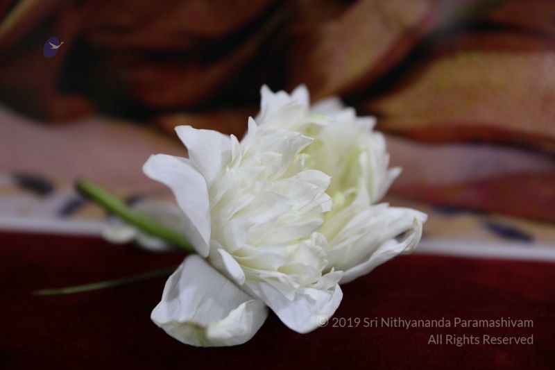 File:KPedia Photo 1481 1cWKFWgTTpJbFm2g676GV77 RBhFt0lP4.jpg