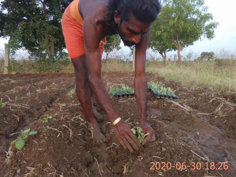 File:KPedia Photo 1509 1HwK6p6nM4pbmWkbnIRLOVyTVAi1Jva2O.jpg