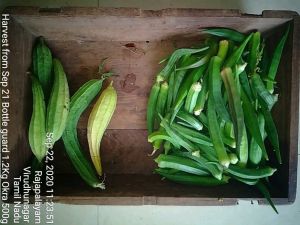 KPedia Photo 1522 1lh8iTX5oyAjl3pT7QeNihXna5EtNtc27.jpg