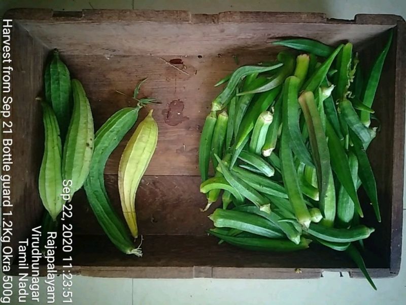 File:KPedia Photo 1522 1lh8iTX5oyAjl3pT7QeNihXna5EtNtc27.jpg