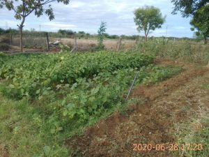 KPedia Photo 1619 1qNQlr-VChaYmnVHW6raRpmUAaXv3dh8y.jpg