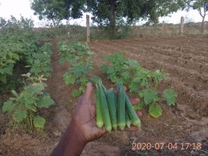 KPedia Photo 1620 1We-eP eLSK9qzDhhAPf7AMZ3DhoEa2il.jpg