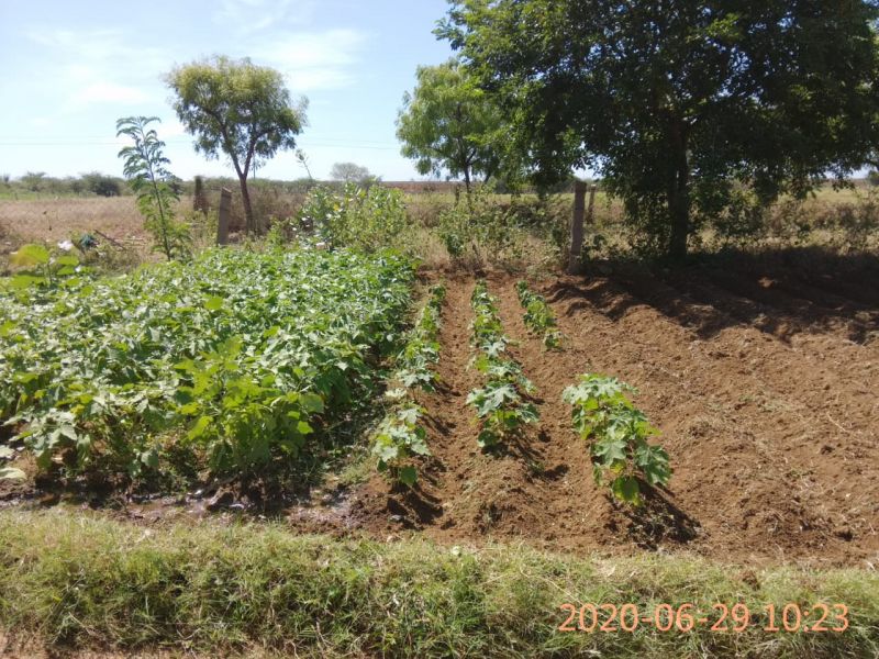 File:KPedia Photo 1621 1bILoK90YdAEhTeoM646NyrxiB6QsRP15.jpg