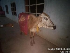 KPedia Photo 1637 1UGPNQviW Vc-AoElSPXmTzKDBk-0ljhy.jpg