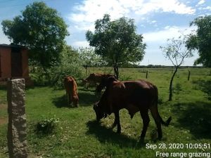 KPedia Photo 1640 1cycOT8Cms08asCLdvzCgSCo3OKKpM1-F.jpg