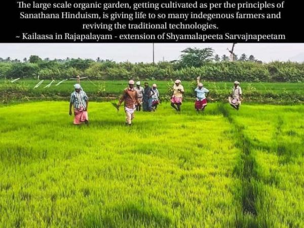 Kailaasa in Rajapalayam6.jpg