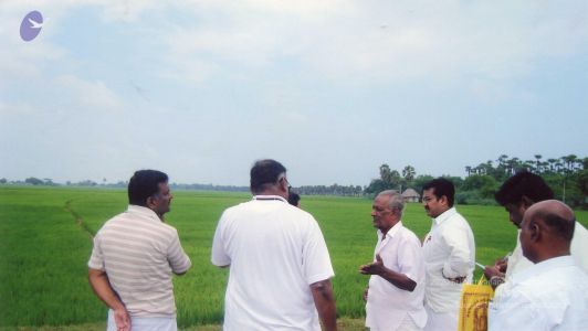 PA-032-004 CMP WM.jpg