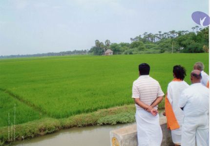 PA-032-020 CMP WM.jpg