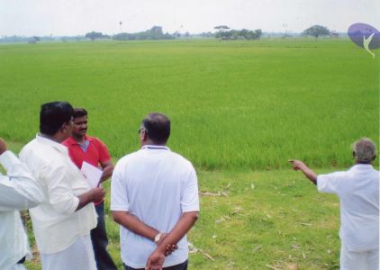 PA-032-032 CMP WM.jpg