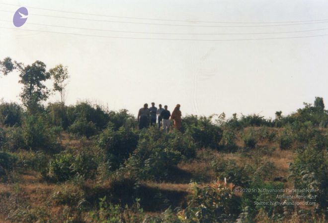 PA-213-016 CMP WM.jpg