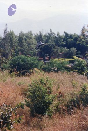 PA-213-027 CMP WM.jpg