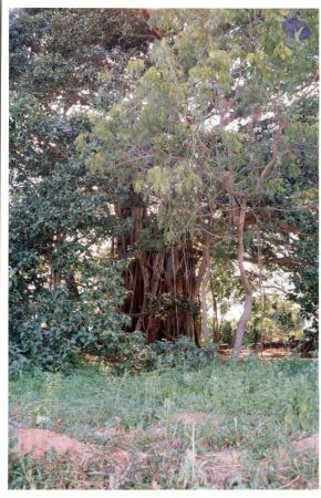 PA-292-001 CMP WM.jpg