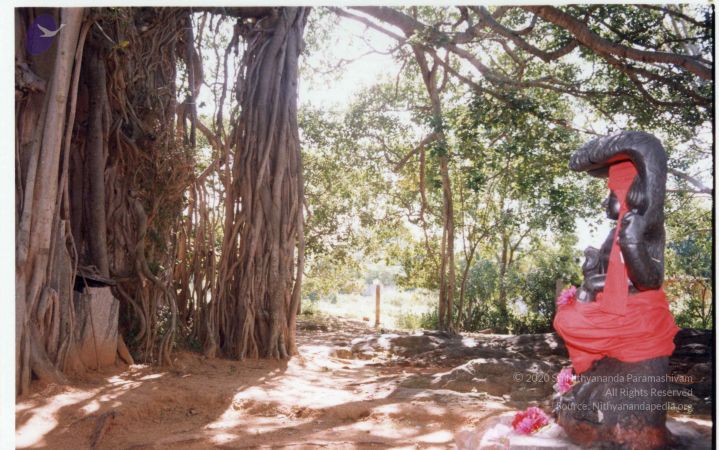 PA-292-010 CMP WM.jpg