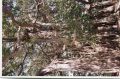 Thumbnail for version as of 15:35, 23 April 2021