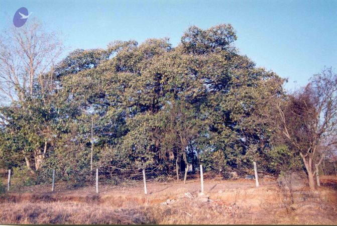 PA-292-015 CMP WM.jpg