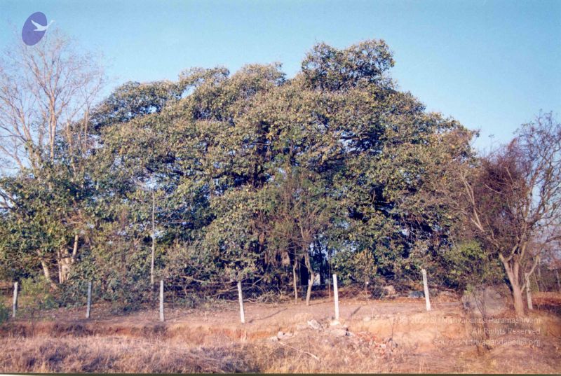 File:PA-292-015 CMP WM.jpg