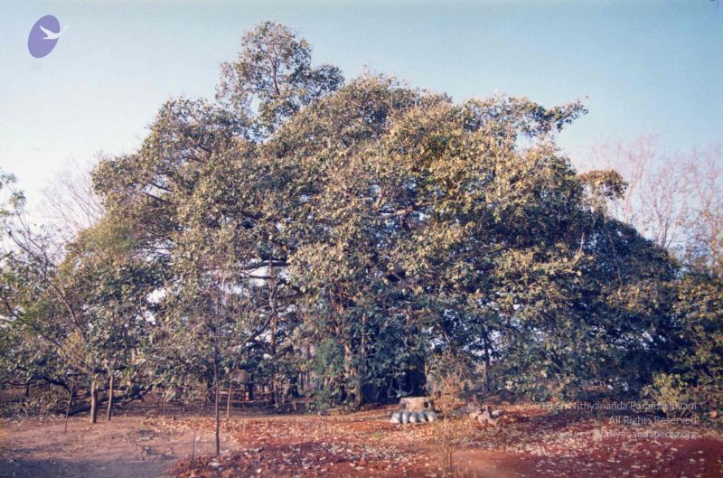File:PA-292-016 CMP WM.jpg