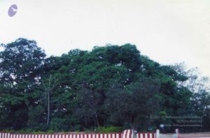 PA-434-021 CMP WM.jpg