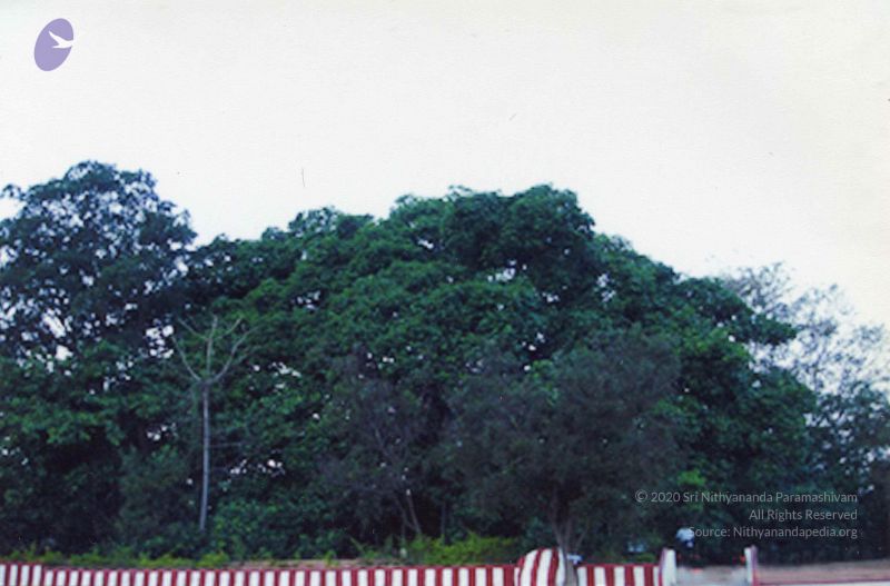 File:PA-434-021 CMP WM.jpg